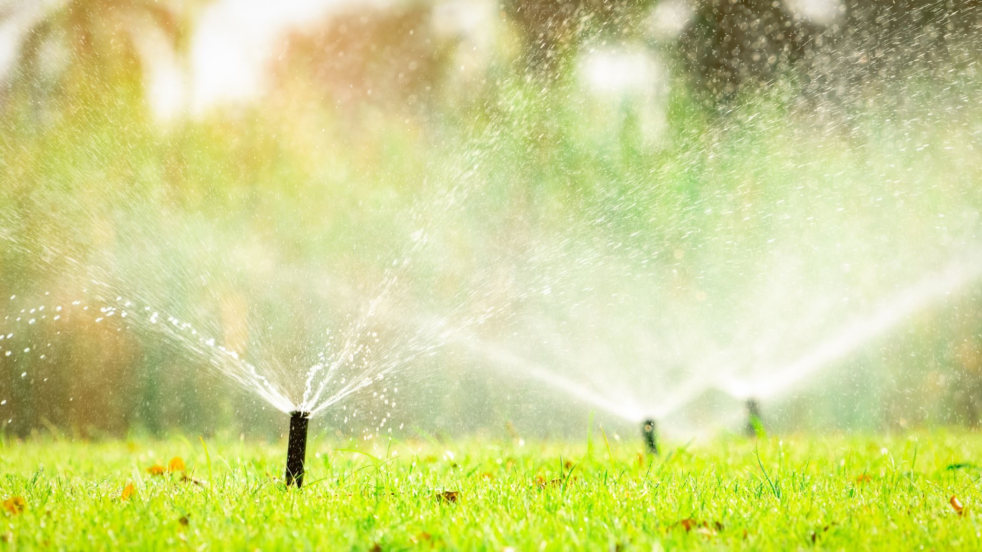 Expert Sprinkler Repair Services In Wheat Ridge, CO
