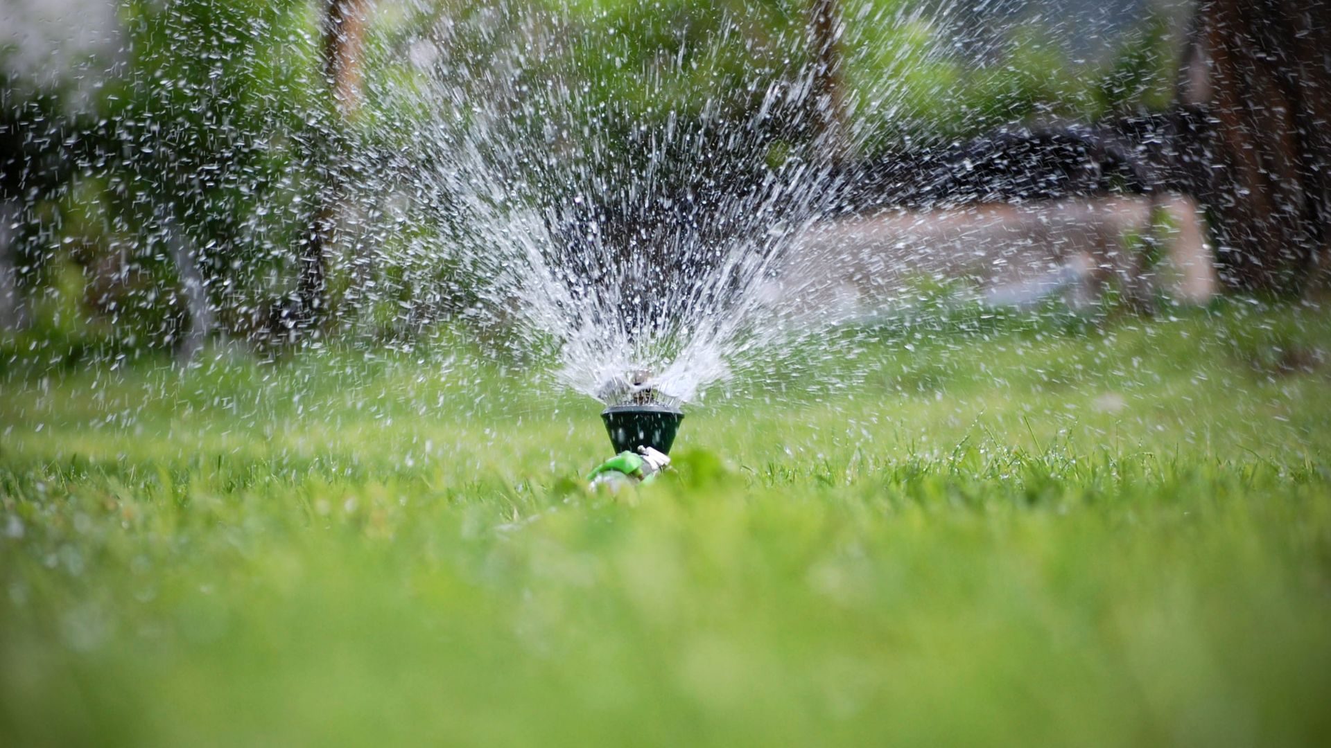 Expert Sprinkler Repair Services In Lone Tree, CO