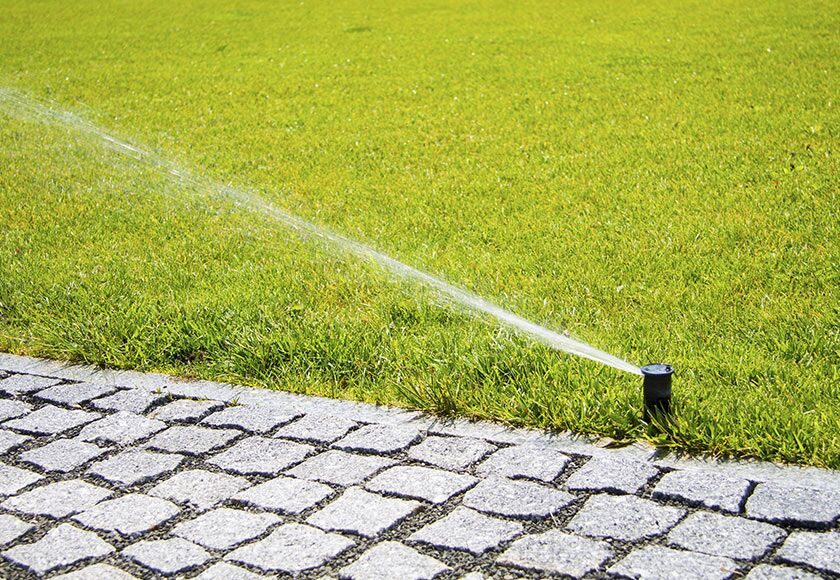 How Often Should You Aerate Your Lawn?