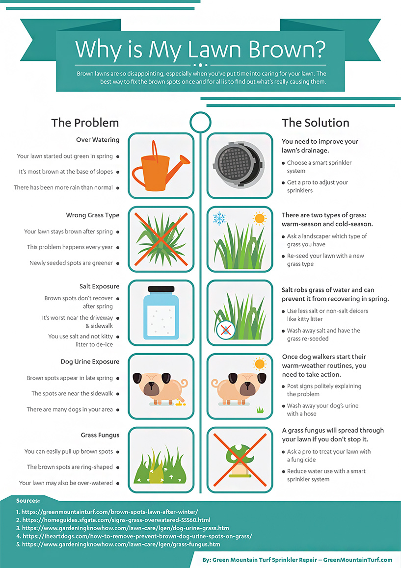 brown lawn infographic