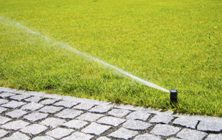 how often should you aerate your lawn?