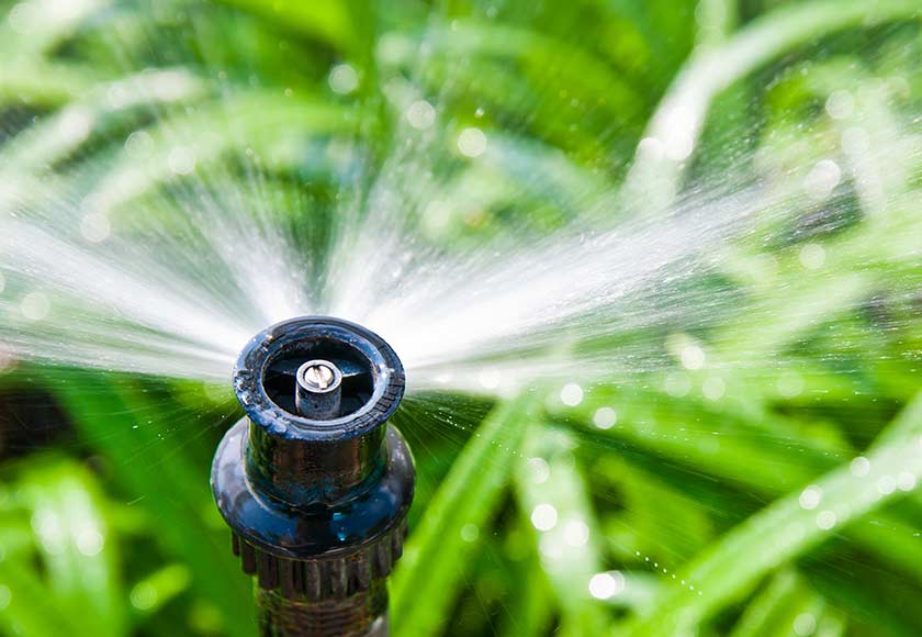 Why is There Pooling Water Around My Sprinkler Head? - Green